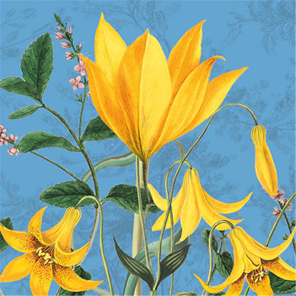 Tuscan Sun Blank Art Card
