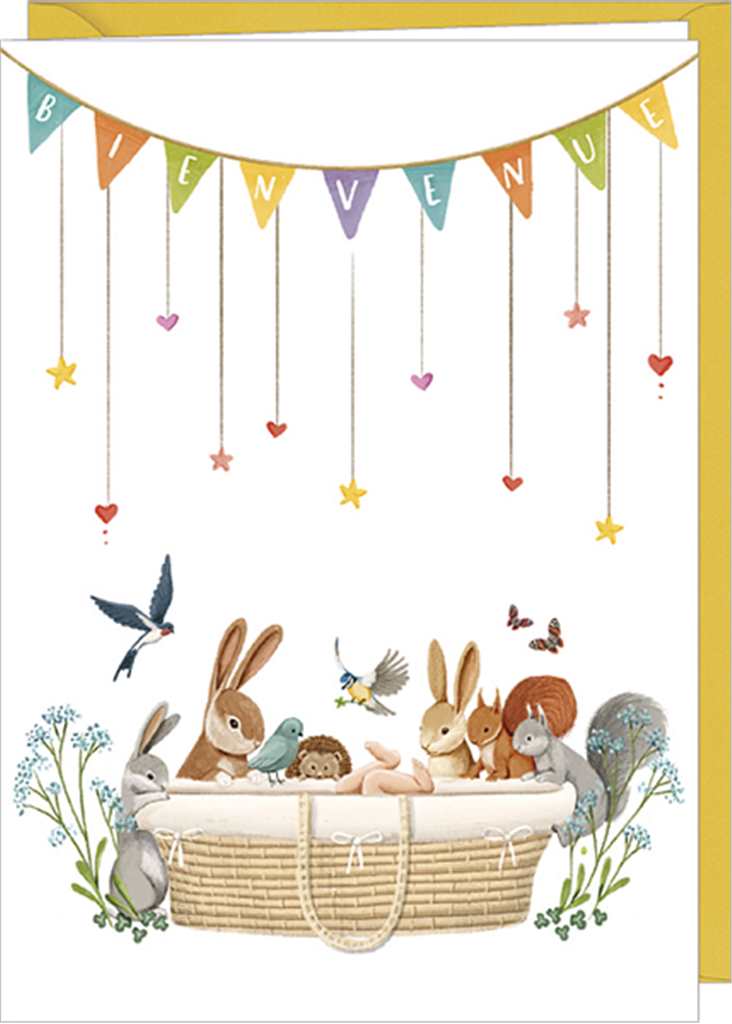 Bienvenue French Baby Card
