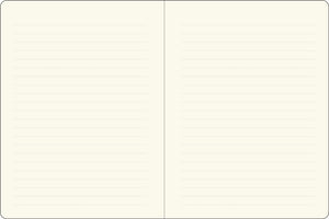 Open notebook showing two lined white pages.