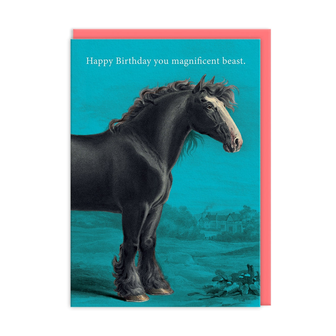 Greeting card with a black stallion illustration and the text "Happy Birthday you manificent beast" on a blue background.