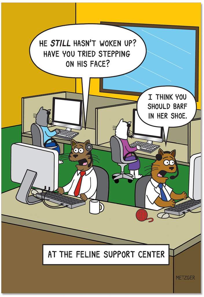 Greeting card featuring a humorous illustration of four cats working in a Feline Support Centre setting. Each cat wears a headset and sits at a desk in front of a computer. The wall in the room is yellow while the floor is green. The text 'He still hasn't woken up? Have you tried stepping on his face?' is printed in a speech bubble over one cat while 'I think you should barf in her shoe.' is printed over another cat.