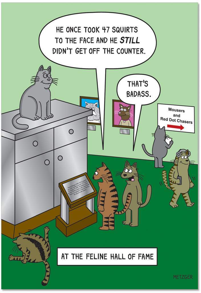 Greeting card featuring an illustration of five cats exploring the Feline Hall Of Fame. Portraits of cats hang on the walls while a statue of a silver cat sits on top of a tall stand. Two cats stand reading a plaque in front of the statue while the others walk around. The text 'He once took 47 squirts to the face and he still didn't get off the counter.' is printed in a speech bubble over one of the cats reading the plaque, while the other has a bubble that says 'That's Badass'. 