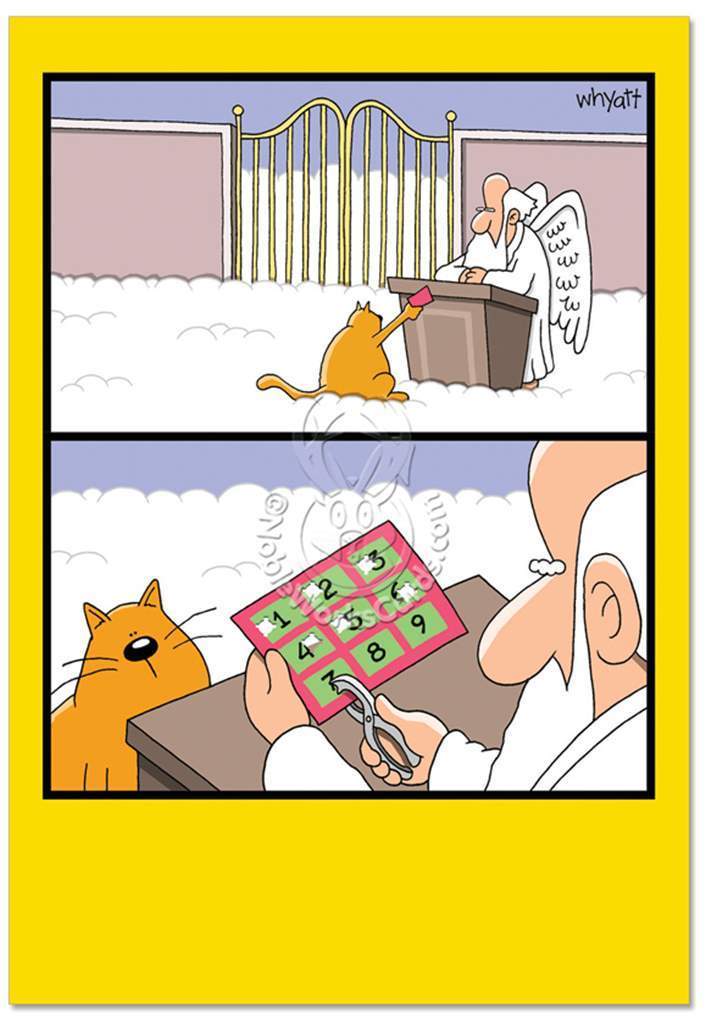 Nine Lives Birthday Card