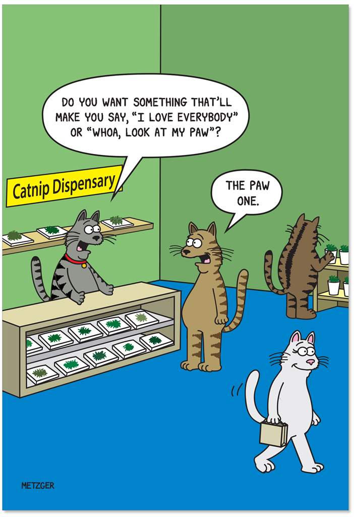 Greeting card featuring a humorous illustration of cats in a Catnip Dispensary. One cat stands behind a desk filled with catnip, one stands in front of it and the other two wander the room. Behind the desk, a shelf holding catnip sits on the wall. The text 'Do you want something that'll make you say, "I love everybody" or "Whoa, look at my paw"?' is printed in a speech bubble over the cat behind the desk while the words 'The paw one' is printed over the cat standing in front of the desk. 