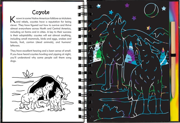 Scratch & Sketch Activity Book | Nocturnal Animals