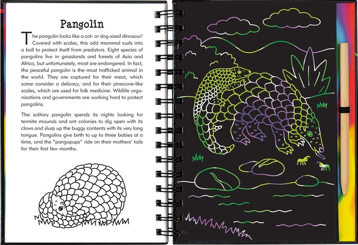 Scratch & Sketch Activity Book | Nocturnal Animals