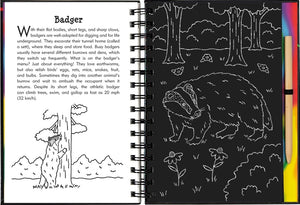Scratch & Sketch Activity Book | Nocturnal Animals