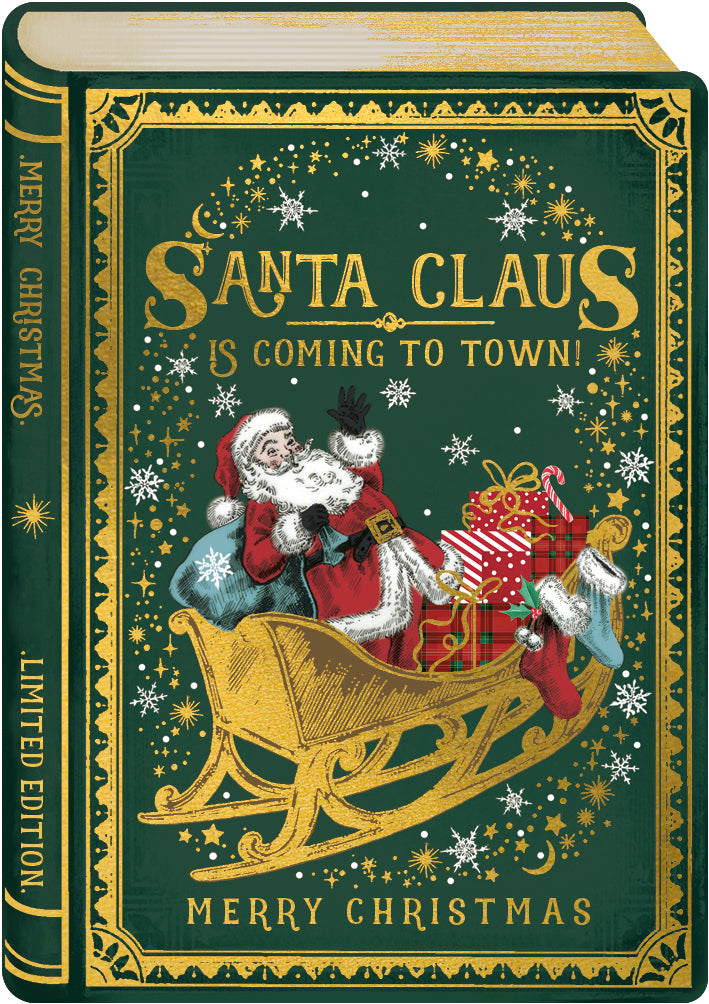 Santa Sleigh Christmas Card