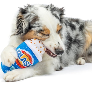 Arctic Blast Dog Toy