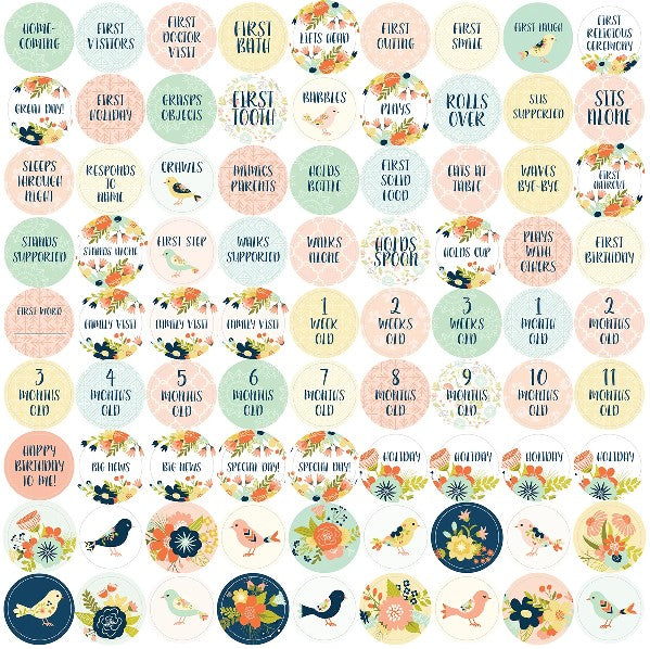 My Life As A  Baby: A First Year Calendar (Birds)
