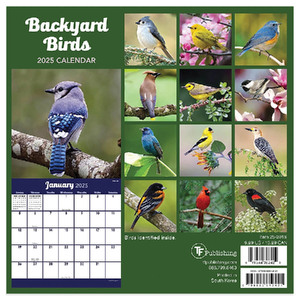 2025 Wall Calendar | Backyard Birds