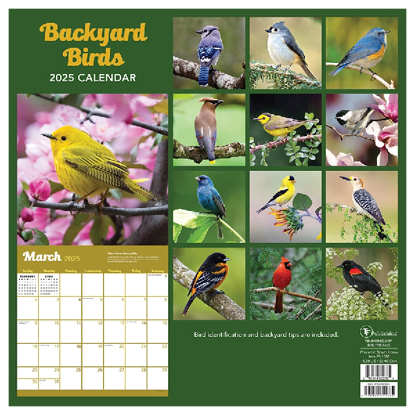 2025 Mini Calendar | Backyard Birds