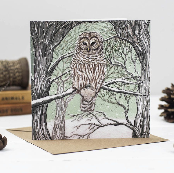 Barred Owl Blank Art Card