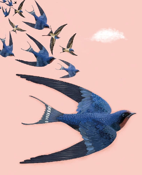 Birds Blank Art Card