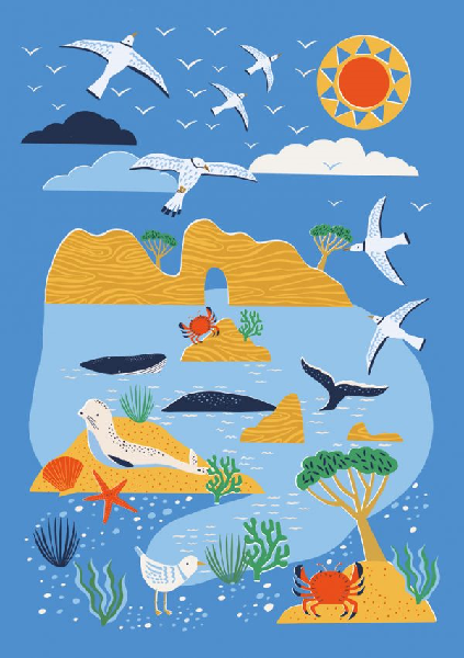 colourful blank card illustrating a beach scene with birds, whale tails, crabs, and sand dunes