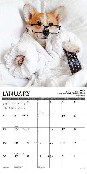 2025 Wall Calendar | Corgi Rules