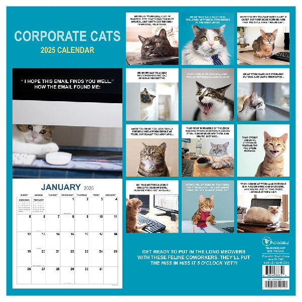 2025 Wall Calendar | Corporate Cats