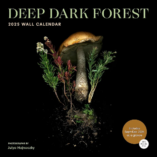 2025 Wall Calendar | Deep Dark Forest