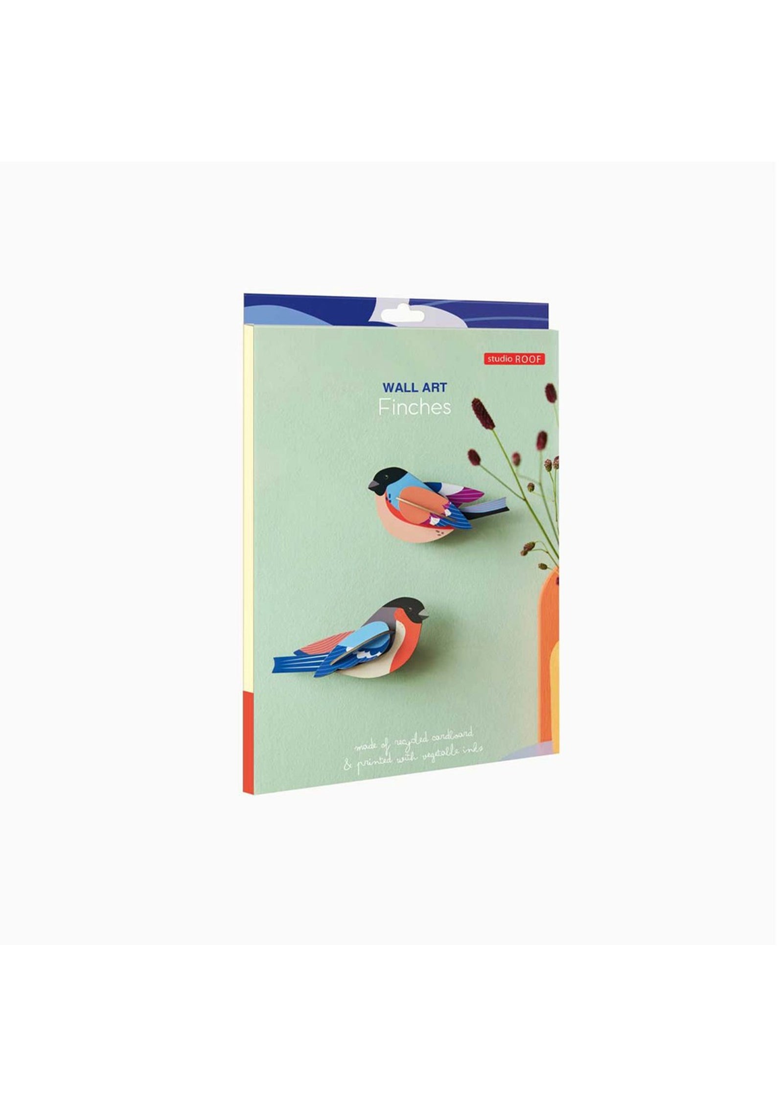 Packaging box for a finches wall art kit from Studio Roof. The box features an image of two colourful 3D birds hanging on a green background. 
