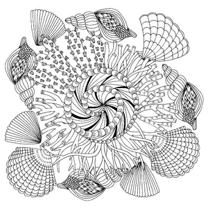 Follow Your Dreams Colouring Book