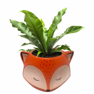 Fox Planter