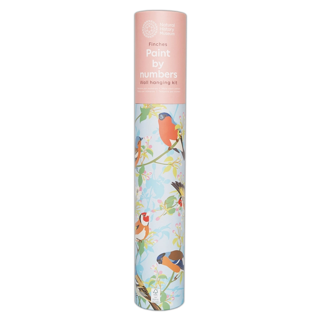 Finches Paint By Numbers & Wall Hanging Kit