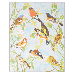 Finches Paint By Numbers & Wall Hanging Kit
