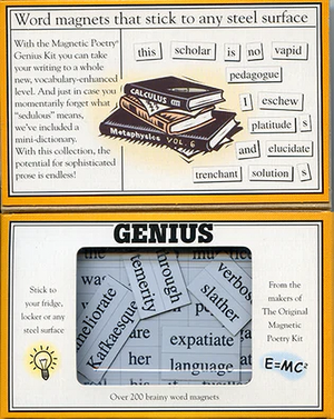 Magnetic Poetry Kit | Genius