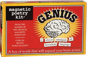 Magnetic Poetry Kit | Genius