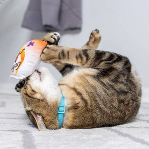 Go Fish Phishy Catnip Toy