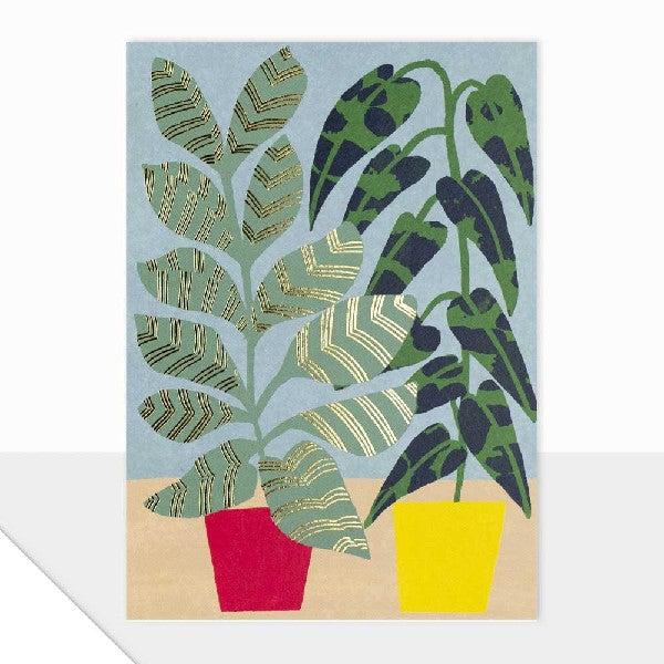Houseplants Blank Art Card