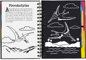 Scratch & Sketch Activity Book | Jurassic And Beyond