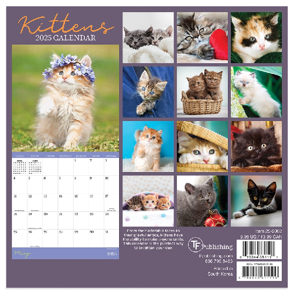 2025 Mini Calendar | Kittens