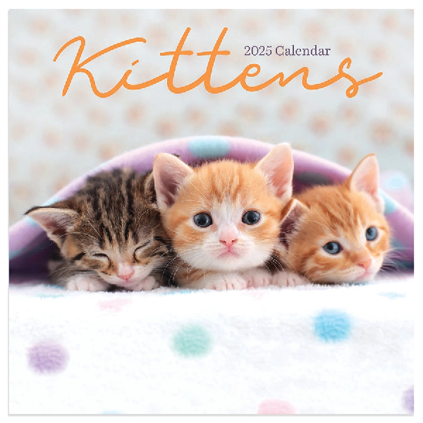 2025 Mini Calendar | Kittens