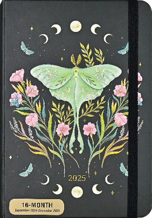 black notebook with a black elastic. the cover shows a mirrored and centred illustration of a luna moth with pink flowers, gold leaves, and moon phases. bottom centre text reads "2025" in gold. bottom left corner sticker text reads "16-month september 2024-december 2025". peter pauper product.