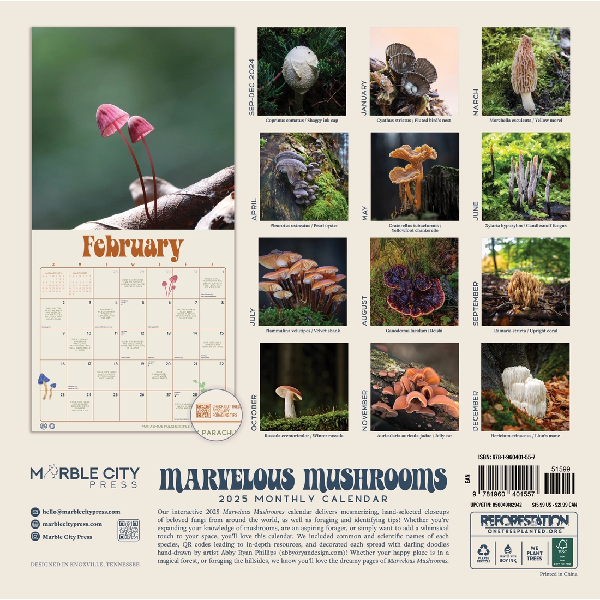 2025 Monthly Wall Calendar | Marvelous Mushrooms