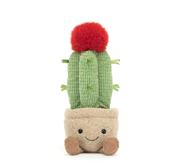 Jellycat Amuseable Small Moon Cactus Plush