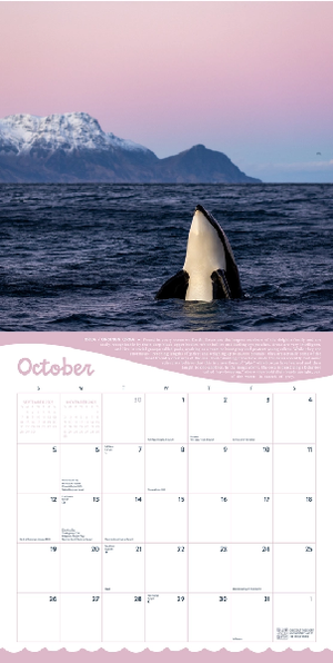 2025 Monthly Wall Calendar | Ocean Life