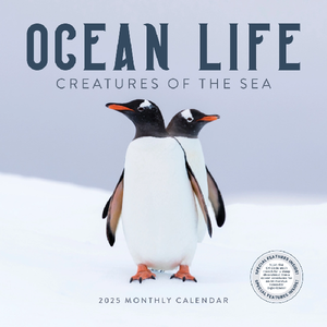 2025 Monthly Wall Calendar | Ocean Life