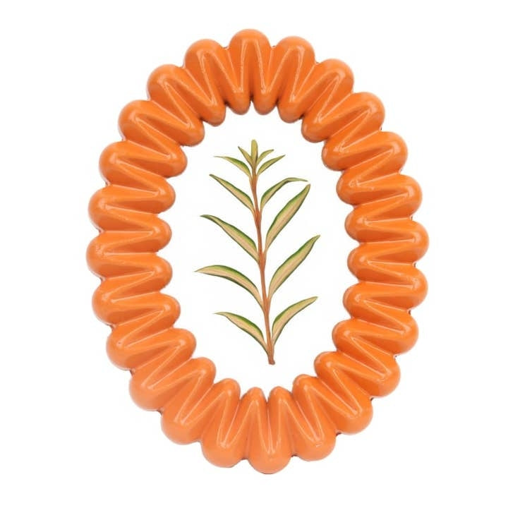 An orange oval shaped photo frame with a coil shape around the border. The image inside the frame is of a plant stem on a white background.