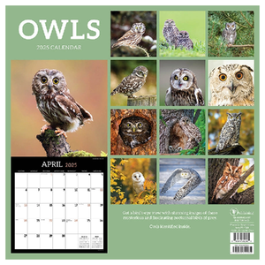 2025 Wall Calendar | Owls