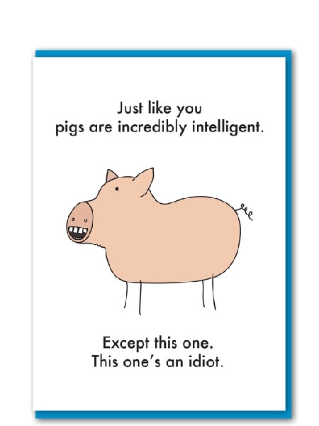 Clever Pigs Birthday Card