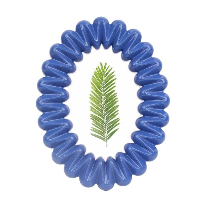 A blue oval shaped photo frame with a coil shape around the border. The image inside the frame is of a leaf from a palm tree on a white background.