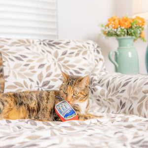 Sardine Tin Catnip Toy