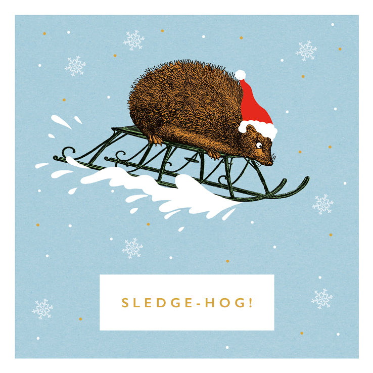 Sledge-Hog Holiday Card Pack | Set of 6