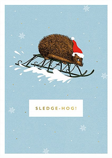 Sledge-Hog Christmas Card