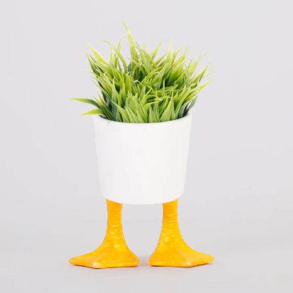 Small Duck Feet Planter