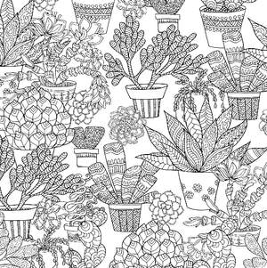 Succulents Colouring Book