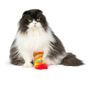 Treatos Snacks Catnip Toy