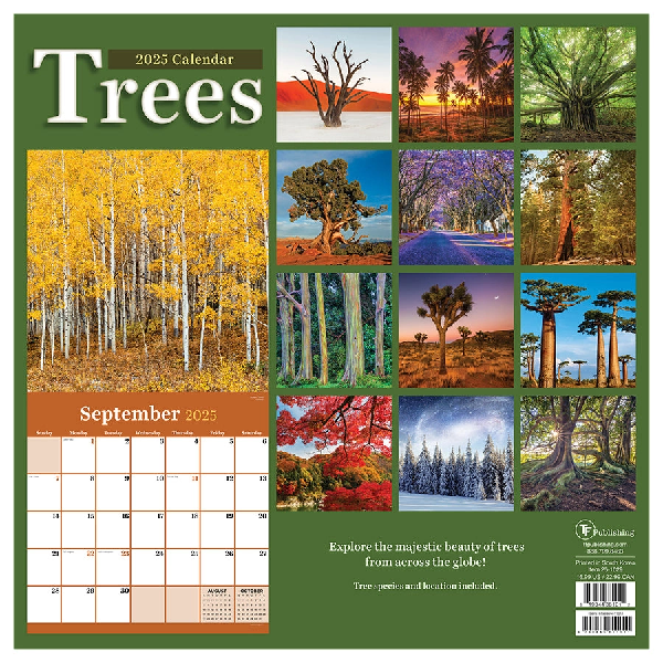 2025 Wall Calendar | Trees